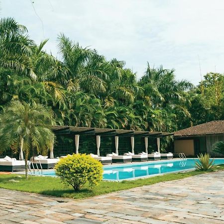 Hotel Kasara Chitwan à Patlahara Extérieur photo
